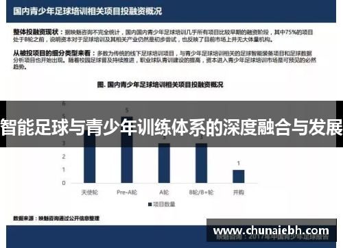 智能足球与青少年训练体系的深度融合与发展